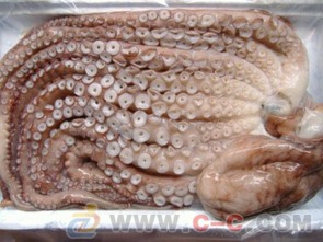 東安縣章魚價格 章魚批發(fā)銷售 章魚廠家批發(fā)