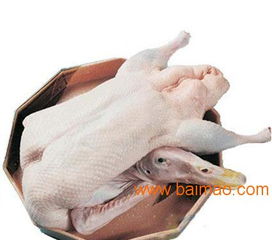 冷凍白條鴨 進(jìn)口白條鴨批發(fā) 冷凍鴨副批發(fā)廠家,冷凍白條鴨 進(jìn)口白條鴨批發(fā) 冷凍鴨副批發(fā)廠家生產(chǎn)廠家,冷凍白條鴨 進(jìn)口白條鴨批發(fā) 冷凍鴨副批發(fā)廠家價(jià)格